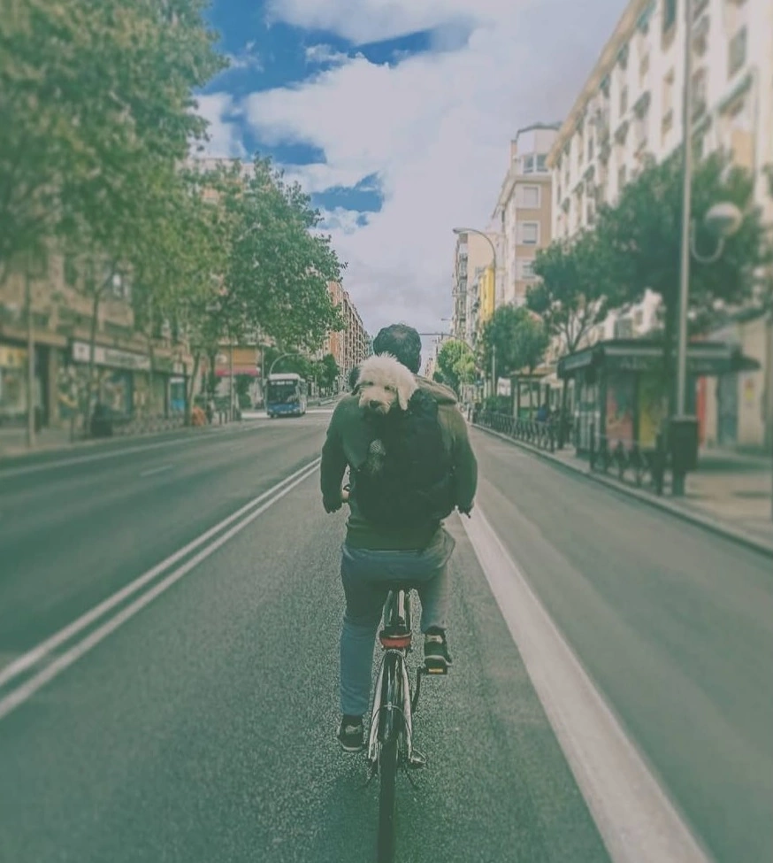 Hit Madrid Tours Biking