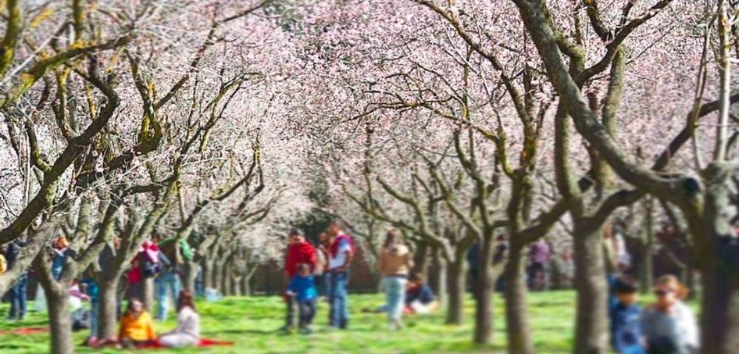 Hit Madrid Tours City Park